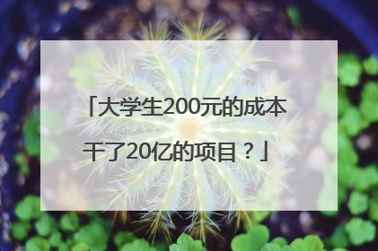 大学生200元的成本干了20亿的项目？