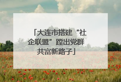 大连市搭建“社企联盟”蹚出党群共富新路子