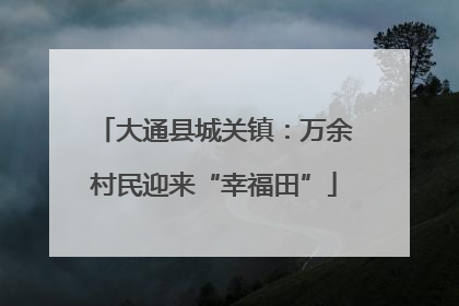 大通县城关镇：万余村民迎来“幸福田”