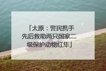 太原：警民携手 先后救助两只国家二级保护动物红隼