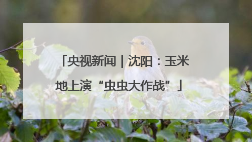 央视新闻｜沈阳：玉米地上演“虫虫大作战”