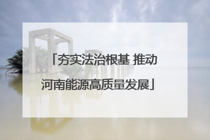 夯实法治根基 推动河南能源高质量发展