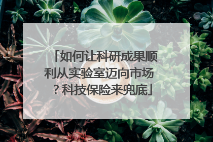 如何让科研成果顺利从实验室迈向市场？科技保险来兜底