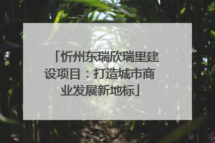 忻州东瑞欣瑞里建设项目：打造城市商业发展新地标
