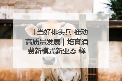 当好排头兵 推动高质量发展｜培育消费新模式新业态 释放经济增长新动能
