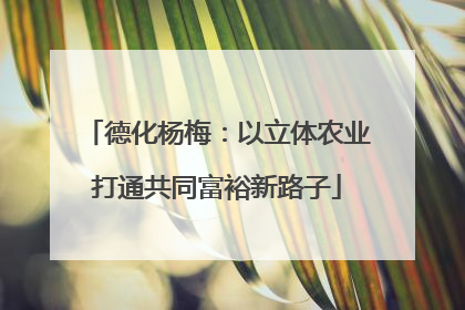 德化杨梅：以立体农业打通共同富裕新路子