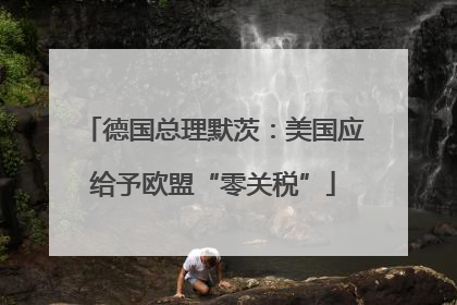 德国总理默茨：美国应给予欧盟“零关税”