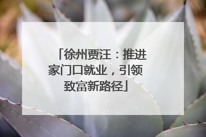徐州贾汪：推进家门口就业，引领致富新路径