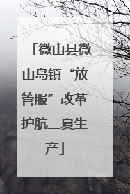 微山县微山岛镇“放管服”改革护航三夏生产