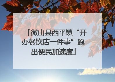 微山县西平镇“开办餐饮店一件事”跑出便民加速度