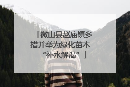 微山县赵庙镇多措并举为绿化苗木“补水解渴”