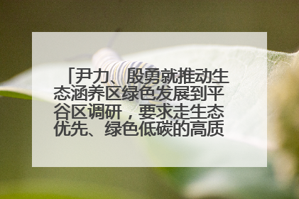 尹力、殷勇就推动生态涵养区绿色发展到平谷区调研，要求走生态优先、绿色低碳的高质量发展之路