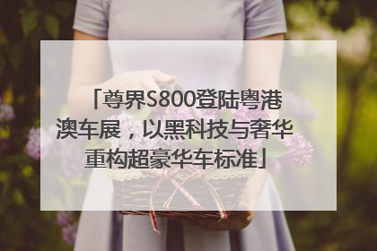 尊界S800登陆粤港澳车展，以黑科技与奢华重构超豪华车标准