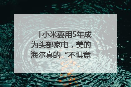 小米要用5年成为头部家电，美的海尔真的“不惧竞争”？｜热财经
