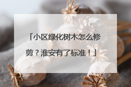 小区绿化树木怎么修剪？淮安有了标准！