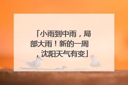 小雨到中雨，局部大雨！新的一周，沈阳天气有变