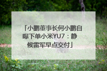 小鹏董事长何小鹏自曝下单小米YU7：静候雷军早点交付