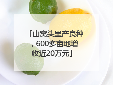 山窝头里产良种，600多亩地增收近20万元