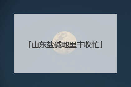 山东盐碱地里丰收忙