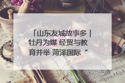 山东友城故事多｜牡丹为媒 经贸与教育并举 菏泽国际“朋友圈”扩容升级