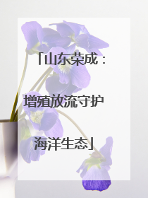 山东荣成：增殖放流守护海洋生态