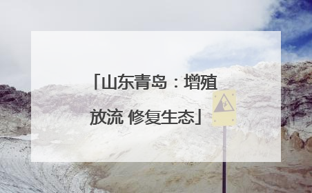 山东青岛：增殖放流 修复生态