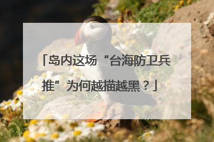 岛内这场“台海防卫兵推”为何越描越黑？