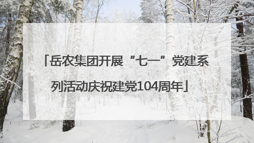 岳农集团开展“七一”党建系列活动庆祝建党104周年