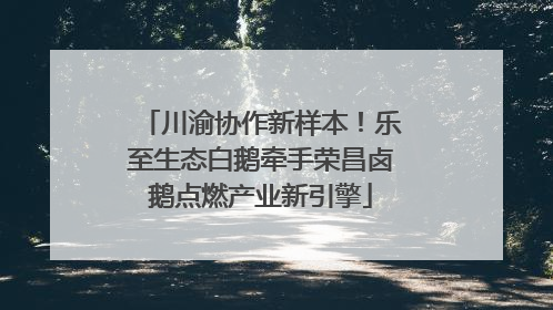 川渝协作新样本！乐至生态白鹅牵手荣昌卤鹅点燃产业新引擎