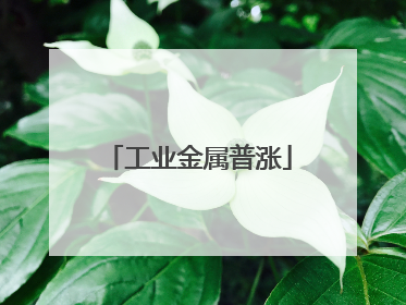 工业金属普涨