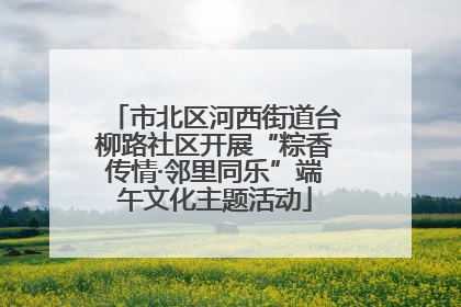 市北区河西街道台柳路社区开展“粽香传情·邻里同乐”端午文化主题活动