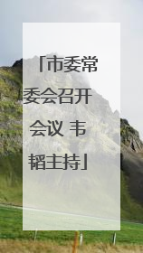 市委常委会召开会议 韦韬主持
