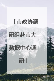 市政协调研组赴市大数据中心调研