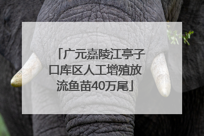 广元嘉陵江亭子口库区人工增殖放流鱼苗40万尾