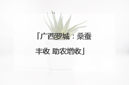广西罗城：桑蚕丰收 助农增收