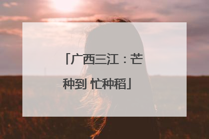 广西三江：芒种到 忙种稻