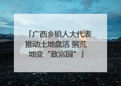 广西乡镇人大代表推动土地盘活 撂荒地变“致富园”