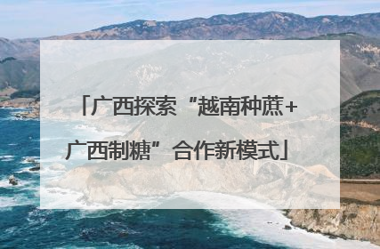 广西探索“越南种蔗+广西制糖”合作新模式