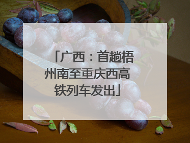 广西：首趟梧州南至重庆西高铁列车发出