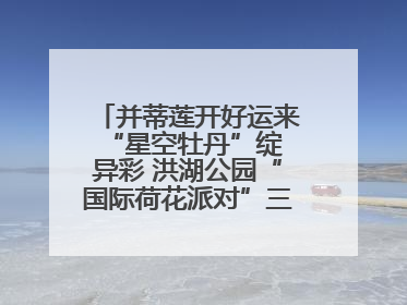 并蒂莲开好运来 “星空牡丹”绽异彩 洪湖公园“国际荷花派对”三天迎客六万