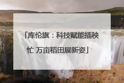 库伦旗：科技赋能插秧忙 万亩稻田展新姿