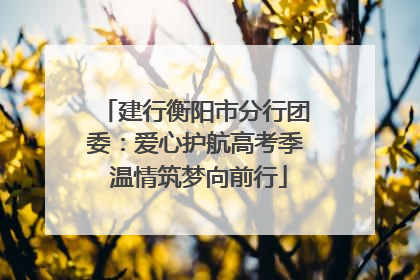 建行衡阳市分行团委：爱心护航高考季 温情筑梦向前行