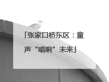 张家口桥东区：童声“唱响”未来