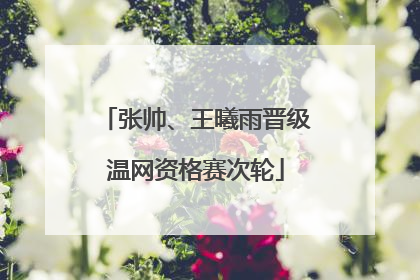 张帅、王曦雨晋级温网资格赛次轮