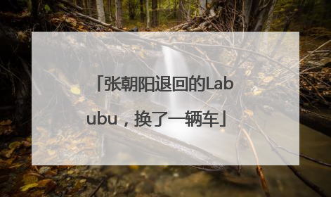张朝阳退回的Labubu，换了一辆车