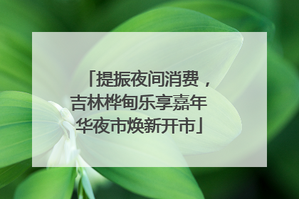 提振夜间消费，吉林桦甸乐享嘉年华夜市焕新开市