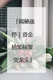 揭秘涨停｜资金抢筹核聚变龙头