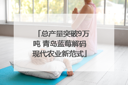 总产量突破9万吨 青岛蓝莓解码现代农业新范式