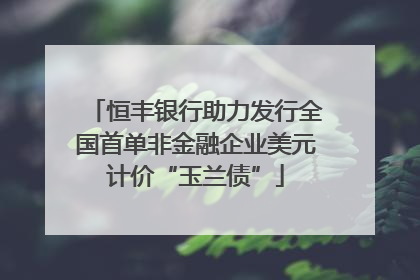 恒丰银行助力发行全国首单非金融企业美元计价“玉兰债”