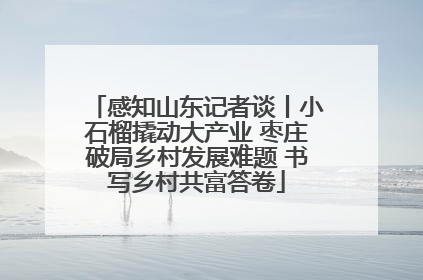 感知山东记者谈丨小石榴撬动大产业 枣庄破局乡村发展难题 书写乡村共富答卷